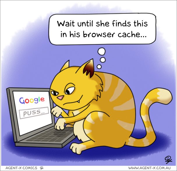 also blame cats for giving my email address to spammers.