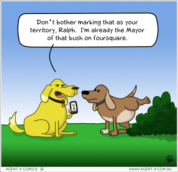 Wouldn't animals be better off using PAWsquare?